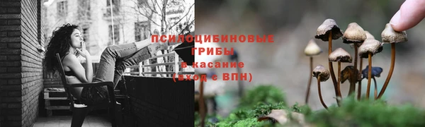 каннабис Богородицк