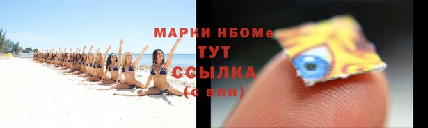 эйфоретик Баксан